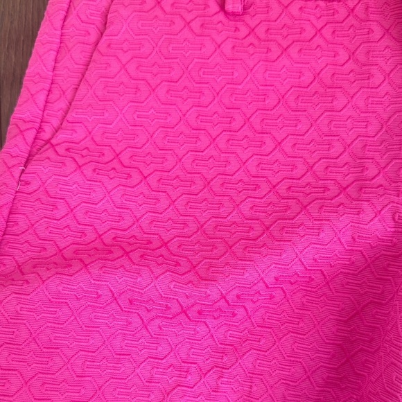 Banana Republic Bright Pink Textured Shorts - Picture 3 of 5